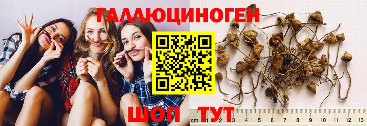 Галлюциногенные грибы мицелий  купить наркоту  Вход с VPN  Дзержинск  Галлюциногенные грибы мицелий 